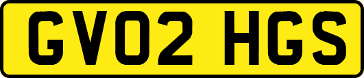 GV02HGS