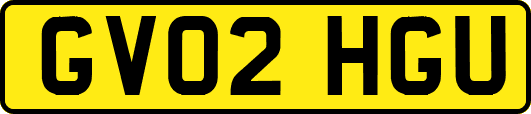 GV02HGU