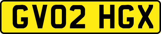 GV02HGX