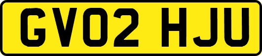 GV02HJU