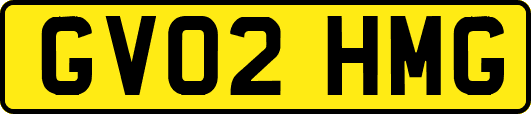GV02HMG