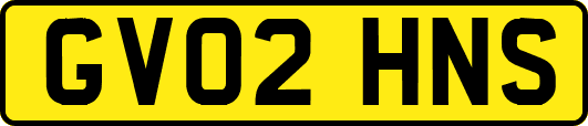 GV02HNS