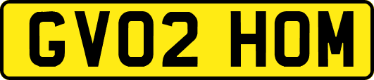 GV02HOM