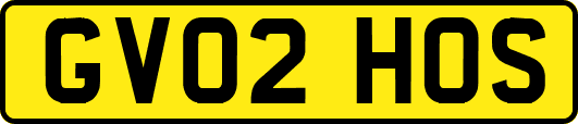 GV02HOS