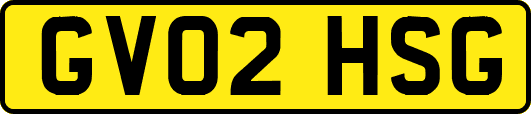 GV02HSG