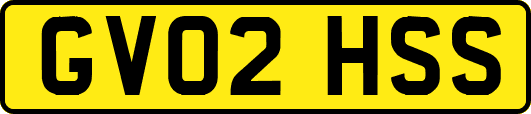 GV02HSS