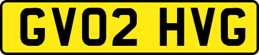 GV02HVG