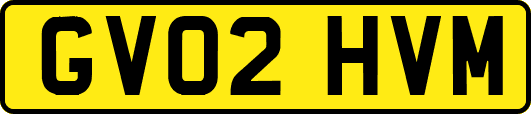 GV02HVM