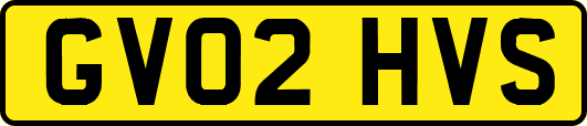 GV02HVS