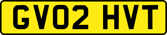 GV02HVT