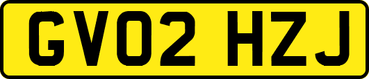 GV02HZJ