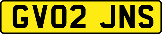 GV02JNS