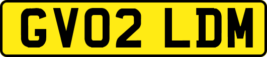 GV02LDM