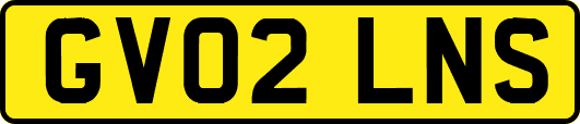 GV02LNS