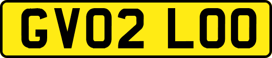 GV02LOO