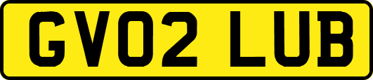 GV02LUB