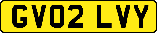 GV02LVY