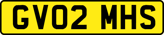 GV02MHS