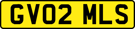 GV02MLS