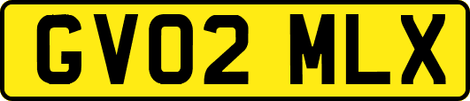 GV02MLX
