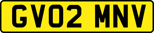 GV02MNV