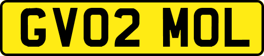 GV02MOL
