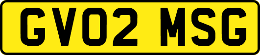 GV02MSG