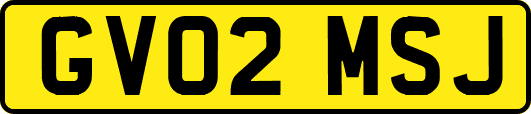 GV02MSJ