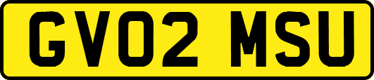 GV02MSU