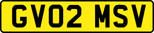 GV02MSV