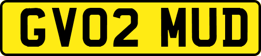 GV02MUD