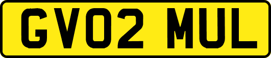 GV02MUL