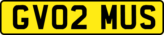 GV02MUS