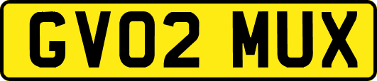 GV02MUX