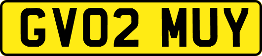 GV02MUY