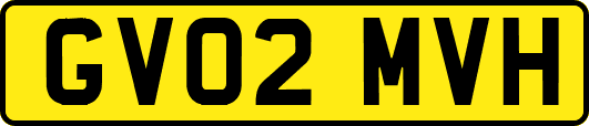 GV02MVH
