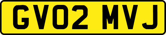 GV02MVJ