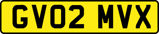 GV02MVX