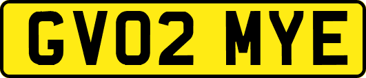 GV02MYE