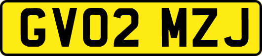 GV02MZJ