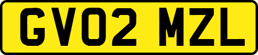 GV02MZL