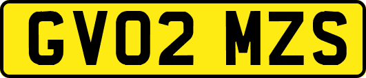 GV02MZS