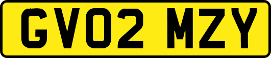 GV02MZY