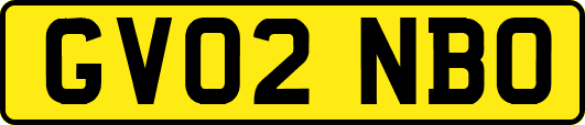 GV02NBO