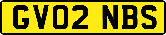 GV02NBS