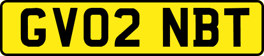 GV02NBT