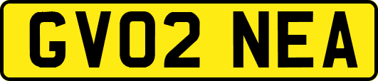 GV02NEA