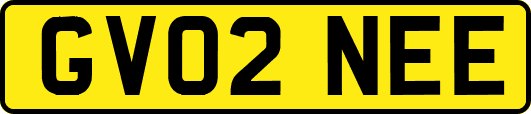 GV02NEE