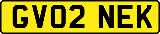 GV02NEK