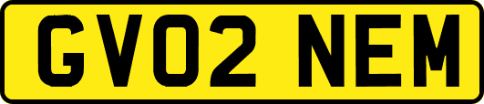 GV02NEM